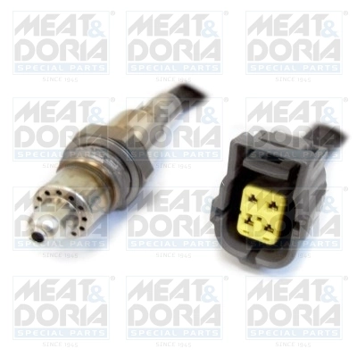 Oxygen Sensor